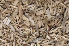 biomass boilers Carnebone