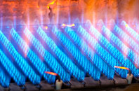 Carnebone gas fired boilers